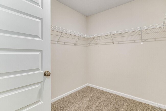 Building Photo - 4423 White Cedar Ct