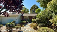 Building Photo - 3+ Bedroom Modern El Cerrito Hills Home