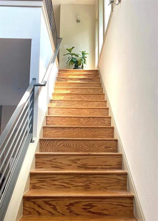 Building Photo - 903 Cardinal Ln