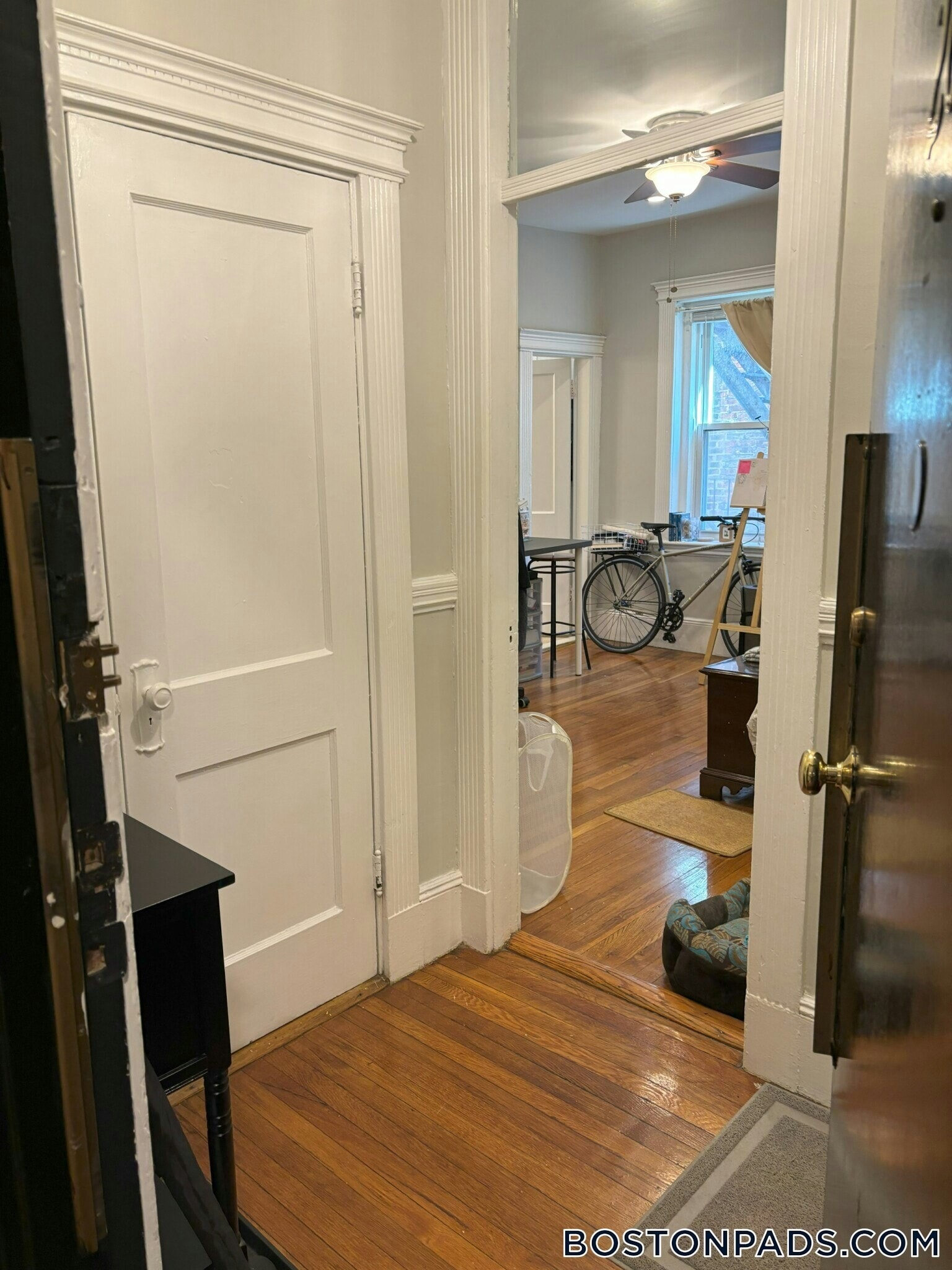 Building Photo - 38 Hemenway St