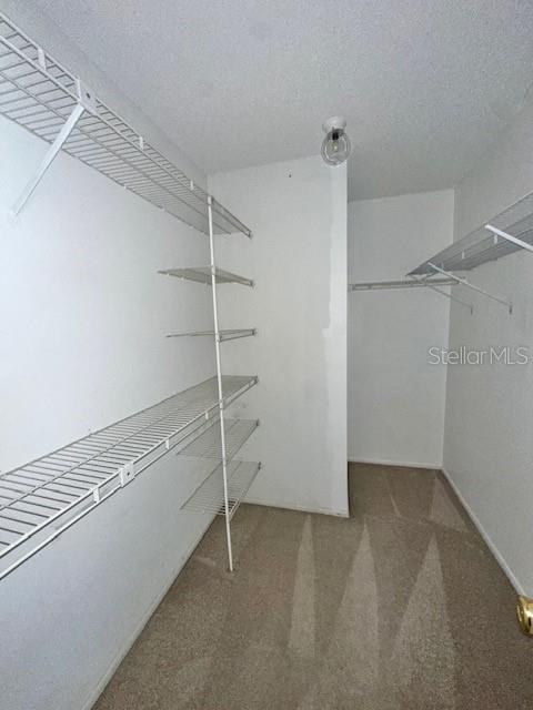 Building Photo - 587 Holbrook Cir