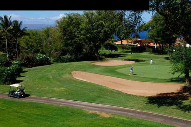 Building Photo - Ocean View 2 bedroom in Wailea Fairway
