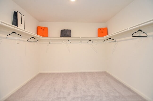 Building Photo - 1025 Long Bay Ct