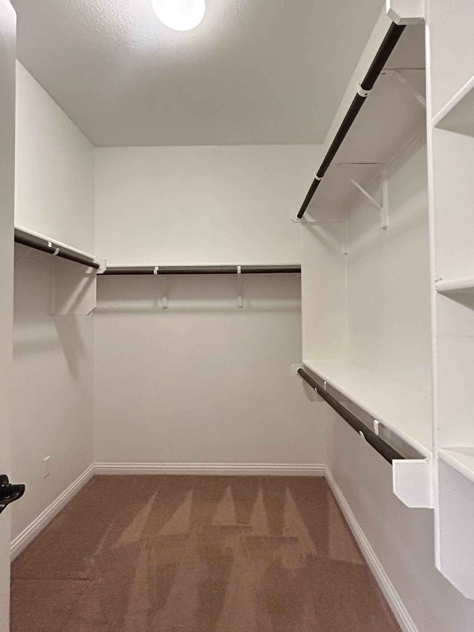 Building Photo - 10109 Aly May Dr