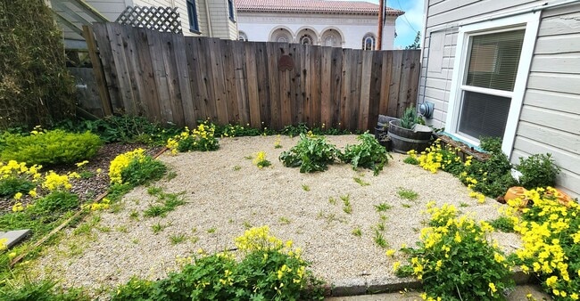 Building Photo - Great Inner Sunset Studio For Rent
