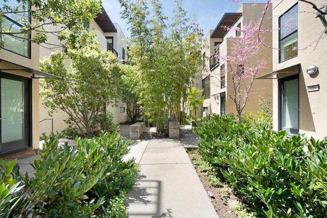 Building Photo - 153 City Limits Cir