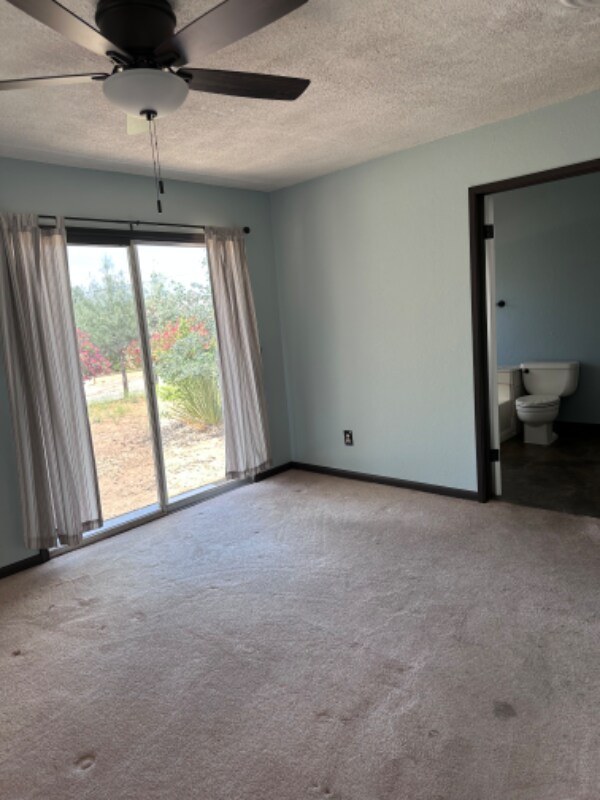 Building Photo - 3168 Shadow Mountain Dr