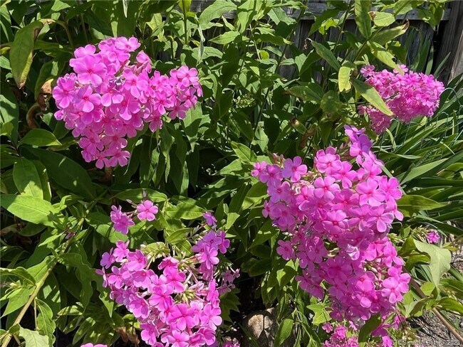 Building Photo - 558 Connecticut Ave