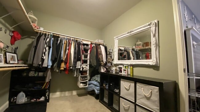 Building Photo - Gorgeous 3 Bedroom, 2 Bathroom Home in Woodridge Estates