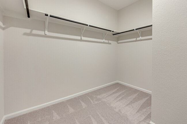 Building Photo - 10167 Red Snapper Rd