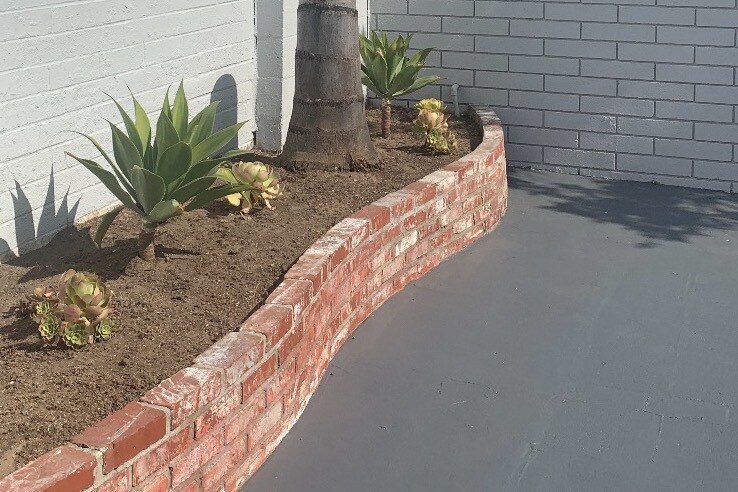 Backyard - 722 Raleigh St