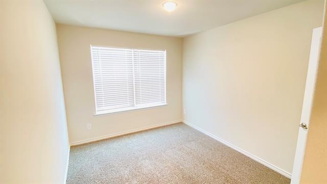 Building Photo - 3916 Lynx Ct