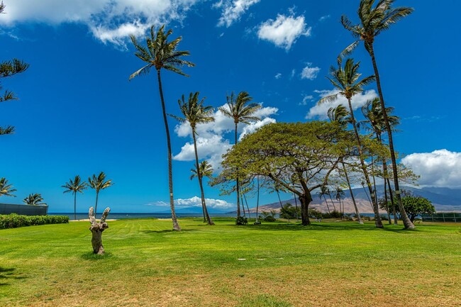 Building Photo - Oceanfront 1 Bed/1 Bath Fully Furnished Condo at Waipuilani!