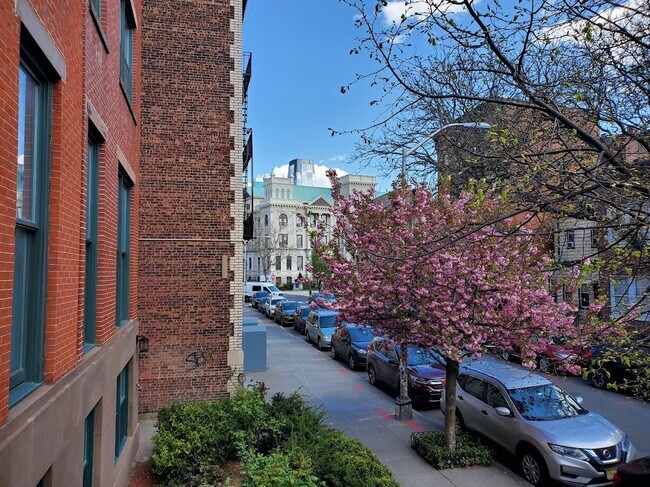 Building Photo - Mercer Arms Apartments