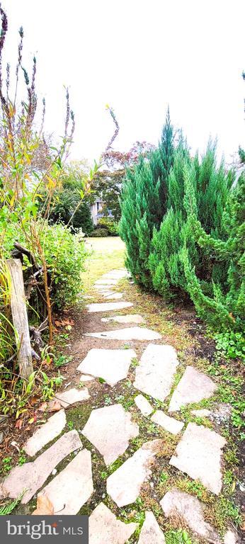 Building Photo - 264 Lake St