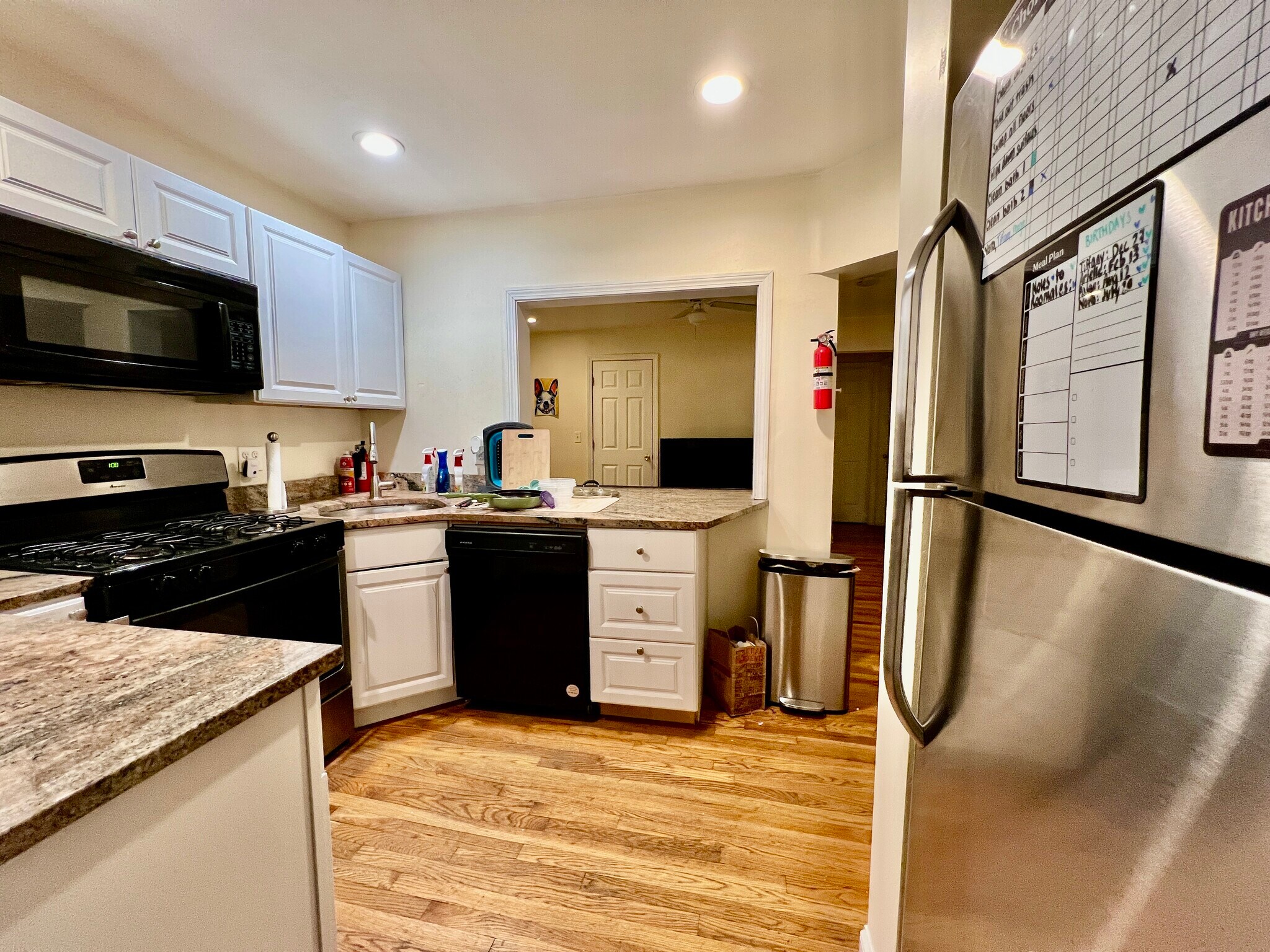 Building Photo - 62 Egmont St