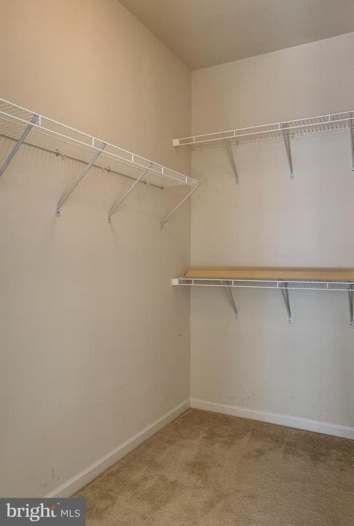 Building Photo - 23502 Belvoir Woods Terrace