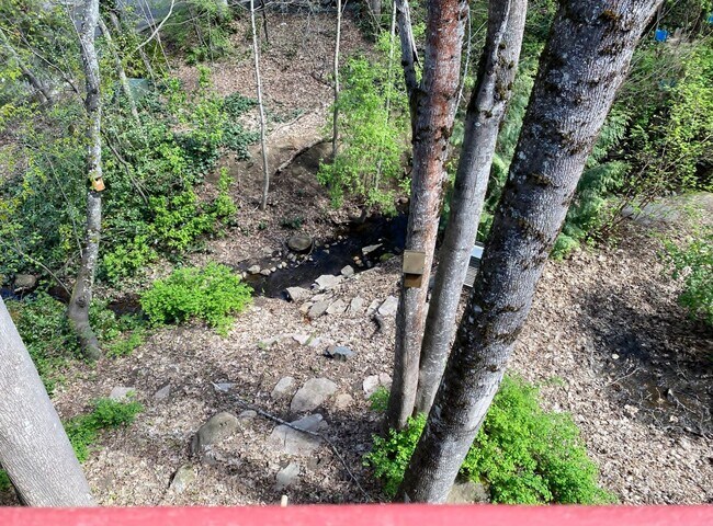 Building Photo - Overlooking Adam's Creek