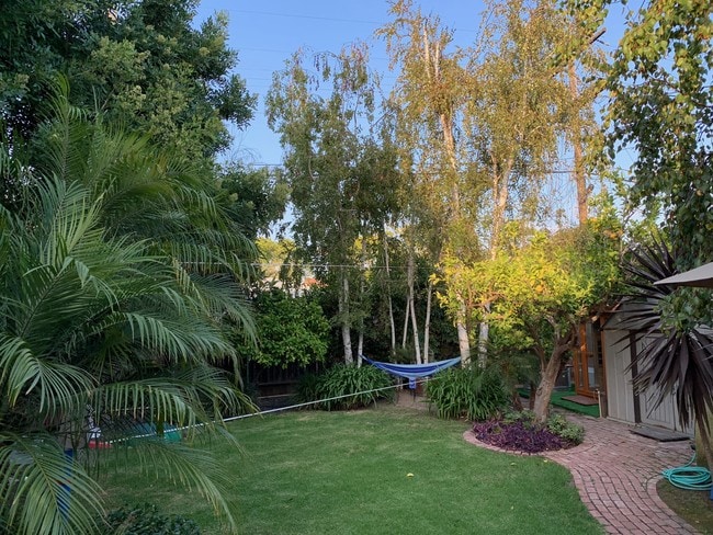 Backyard - 3782 Meier St