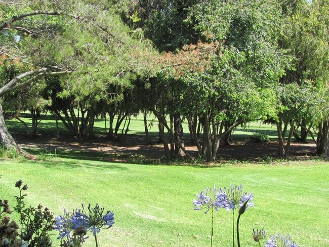 Building Photo - King Courts Condo! Backs to the Park! Blocks from Downtown SLO