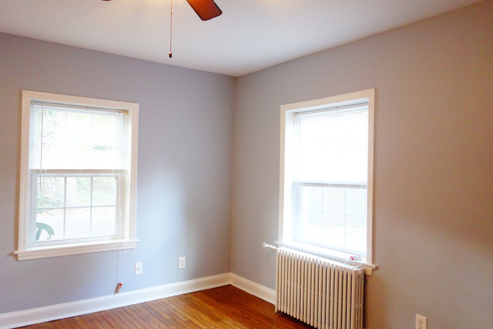 Building Photo - 311 Domer Ave