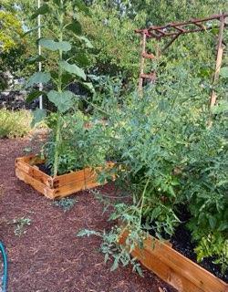 Building Photo - 110 6th St