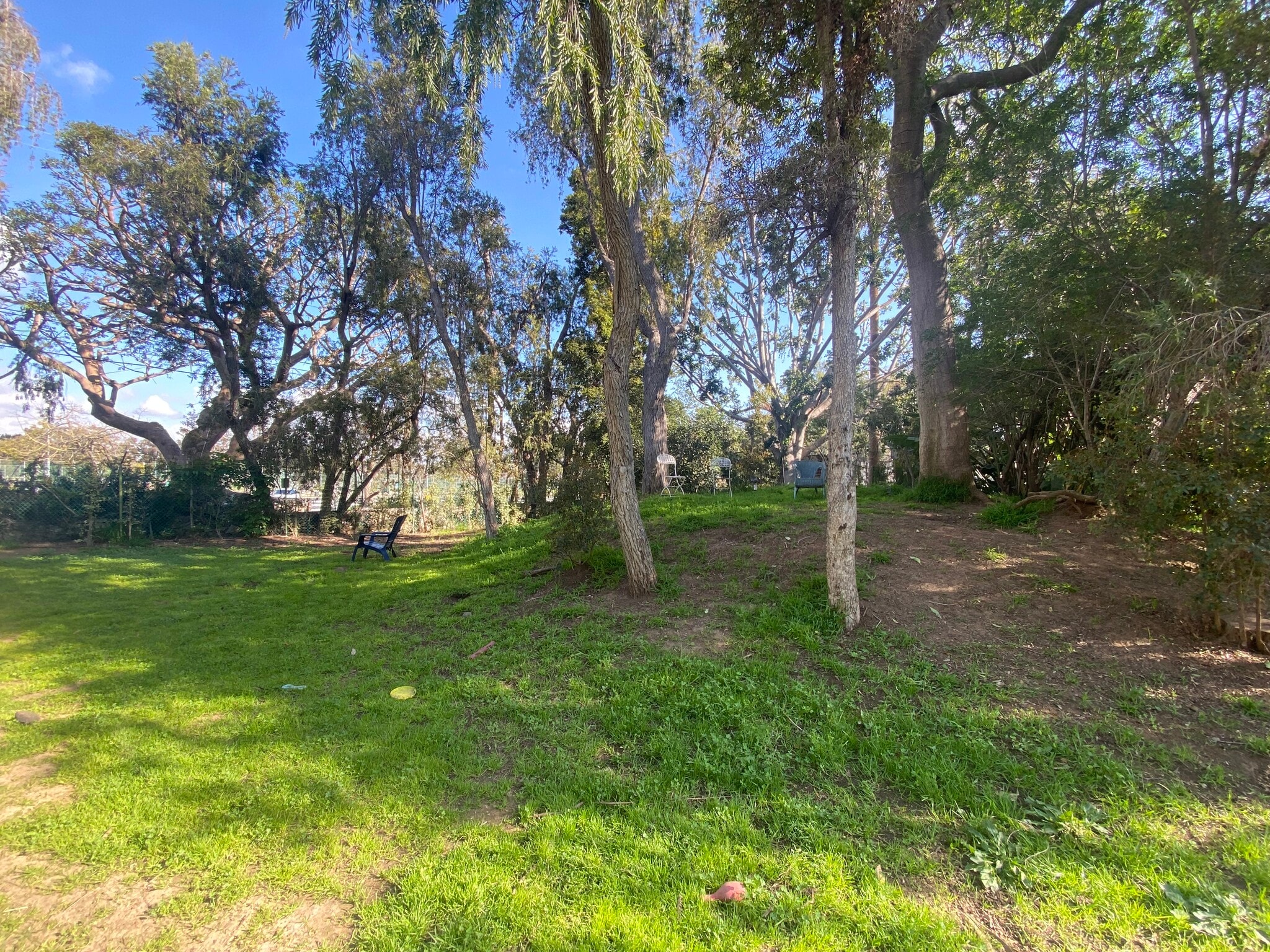 Dog park - 241 S Barrington Ave