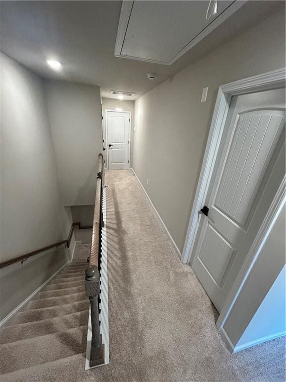 Building Photo - 287 Turtle Creek Dr