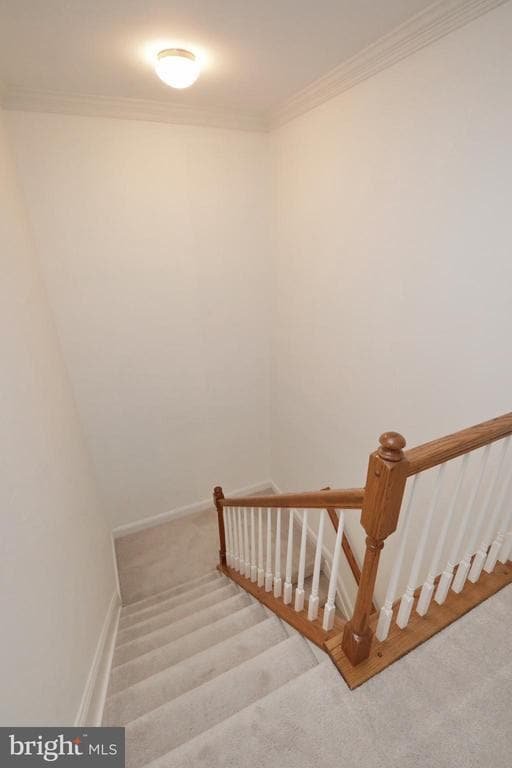 Building Photo - 1028 Llano Dr