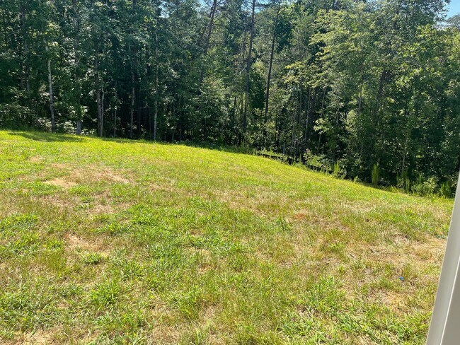 Building Photo - Available Now – Spacious 4BR Home on 1.5 Acres in Rural Hall!