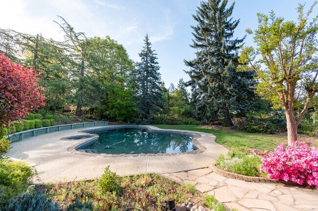 Building Photo - Los Gatos Mountain Living at its Best! Gated 1 Acre lot! Spacious 5 bedroom House! Pool!