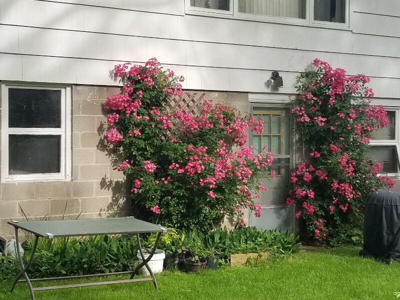 Building Photo - 178 S Main St