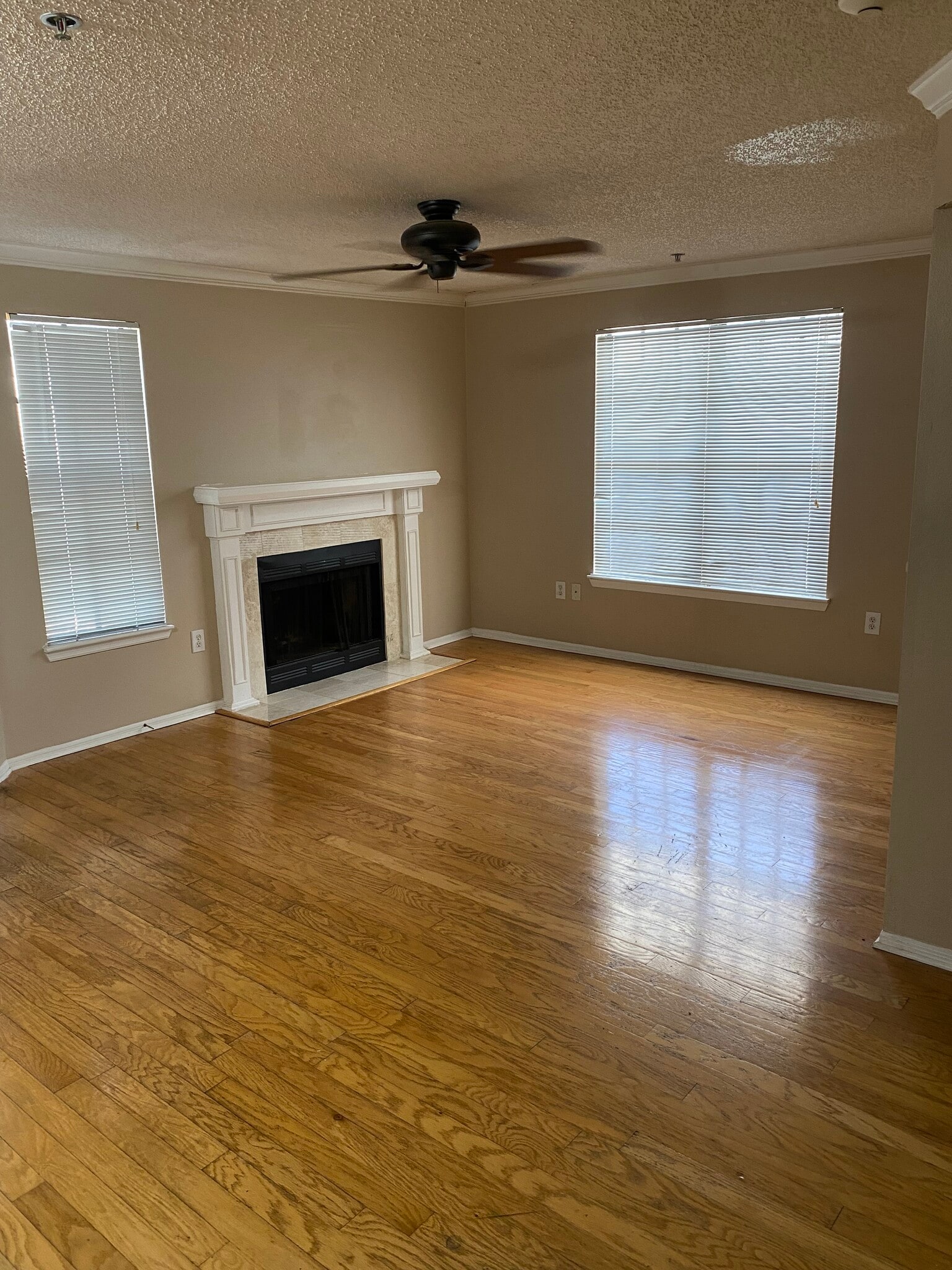 Building Photo - 1000 W Horatio St