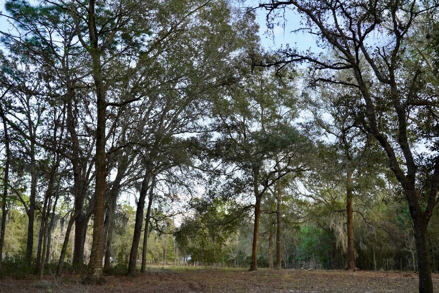 Building Photo - 29205 Saddle Oaks Ln