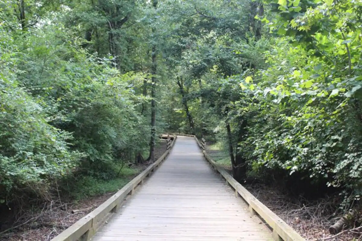 Big Creek Walkway - 717 Estuary Trl