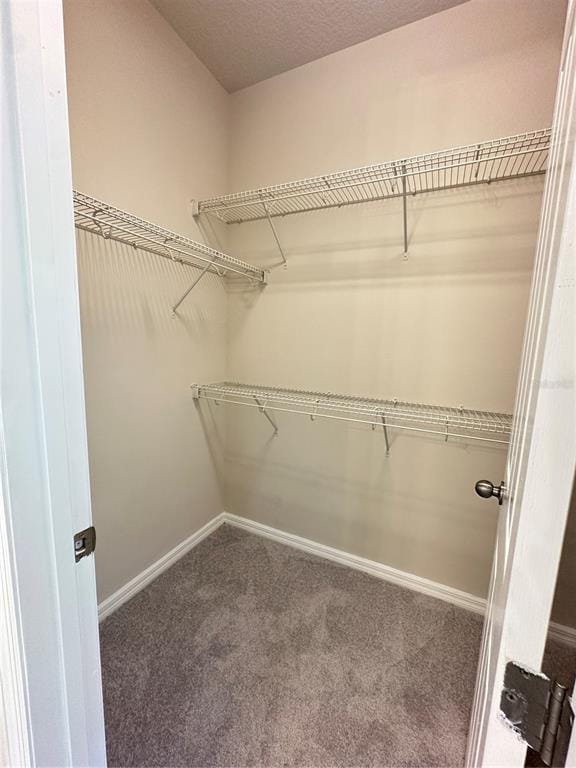 Building Photo - 2516 Annacella Ave