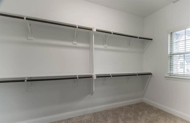 Building Photo - 12927 Couture Dr