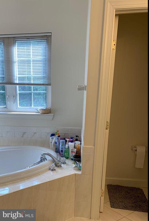 Building Photo - 67 Calabash Ct