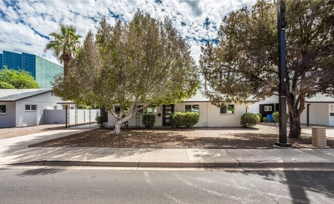 Building Photo - Biltmore District Luxury – 3 month leases avaialble 2,795.00