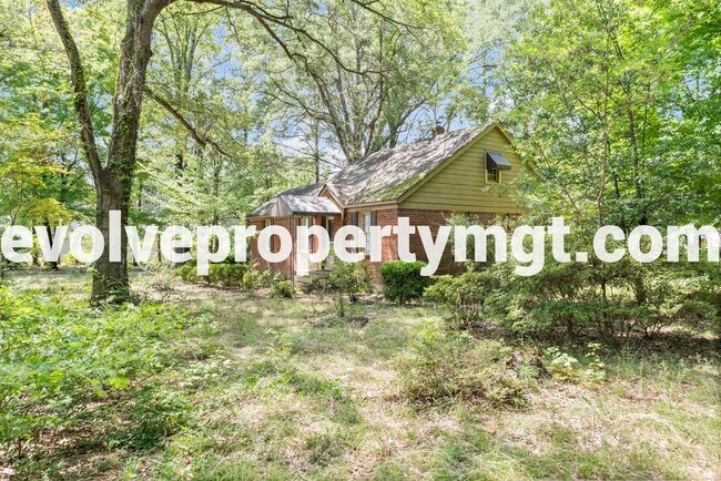 Building Photo - Hidden Collierville Gem on 1 ACRE!