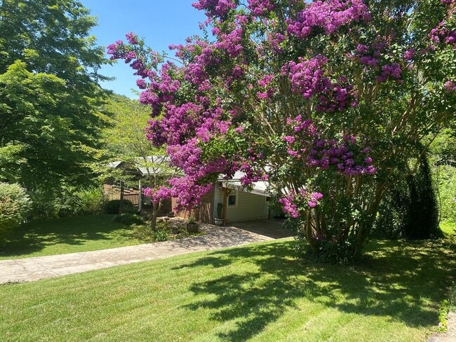 Building Photo - North AVL - Spacious Home with Large Yard and Outdoor Fireplace!