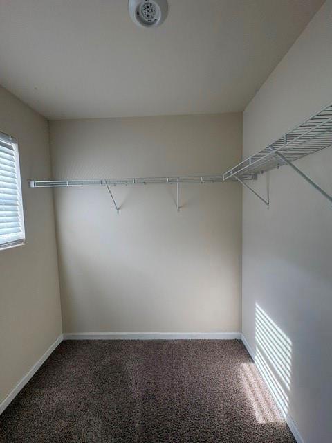 Building Photo - 665 Carlton Pointe Dr