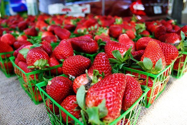 Building Photo - Founders Hill Haile Plantation