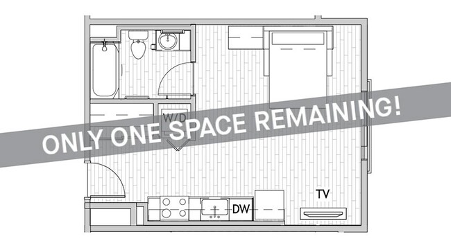 Studio Large Premium C - Only 1 Space Remaining! - Luxury Housing - Uncommon Fort Collins