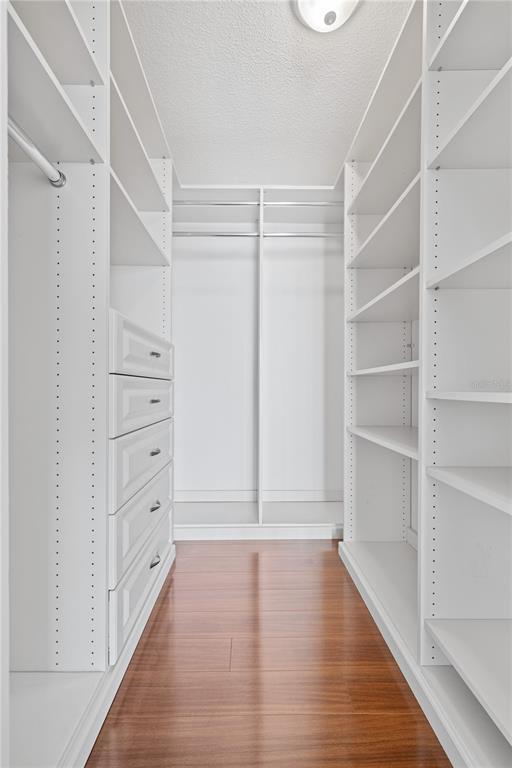 Building Photo - 2611 Bayshore Blvd