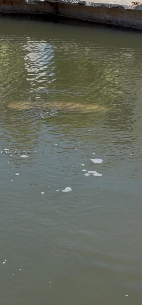 Building Photo - 11 Flamingo Rd