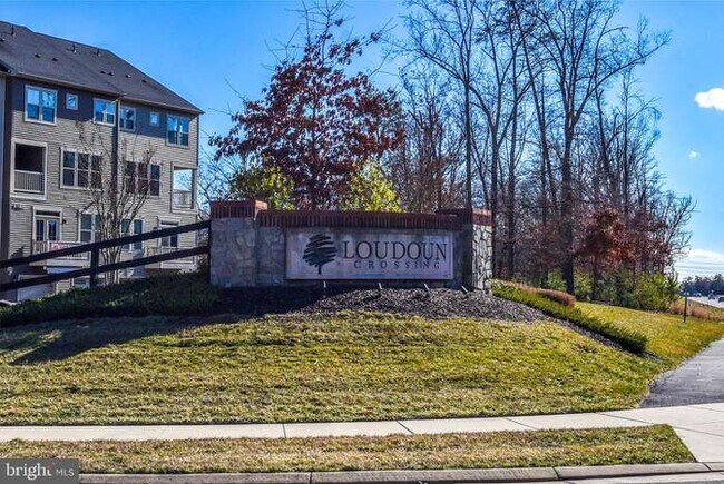 Building Photo - 25291 Gray Poplar Terrace