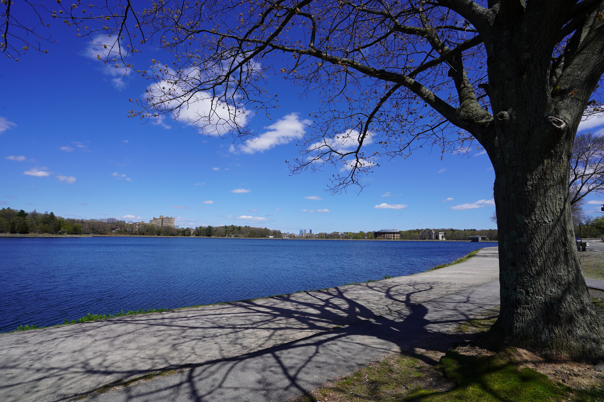 Building Photo - 4 Ayr Rd