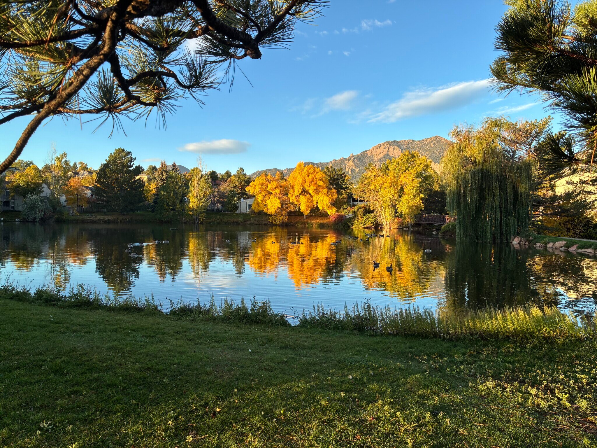 Building Photo - 4857 W Moorhead Cir