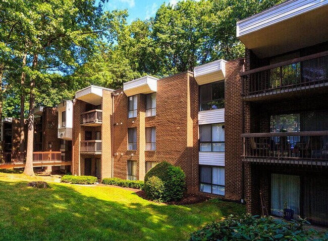 Professionally landscaped community - The Forest Apartments
